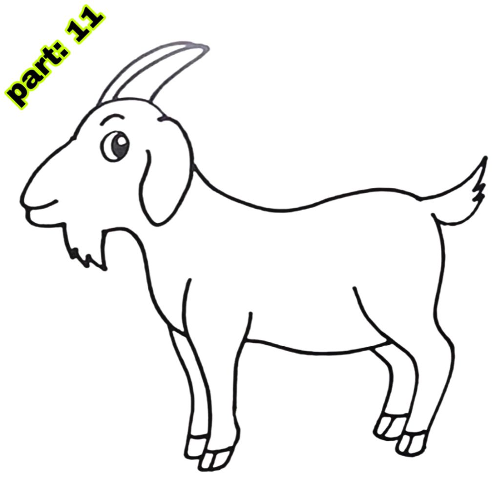 Goat Drawing