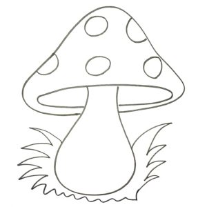 Read more about the article Exciting Mushroom Drawing in Just 5 Minutes