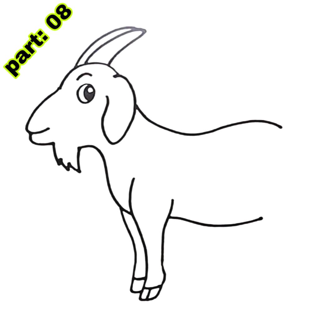 Goat Drawing