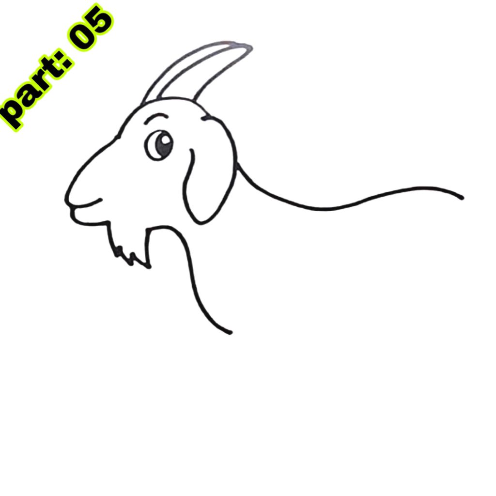 Goat Drawing