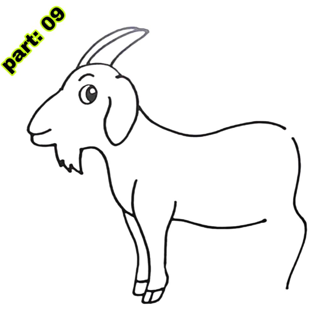 Goat Drawing