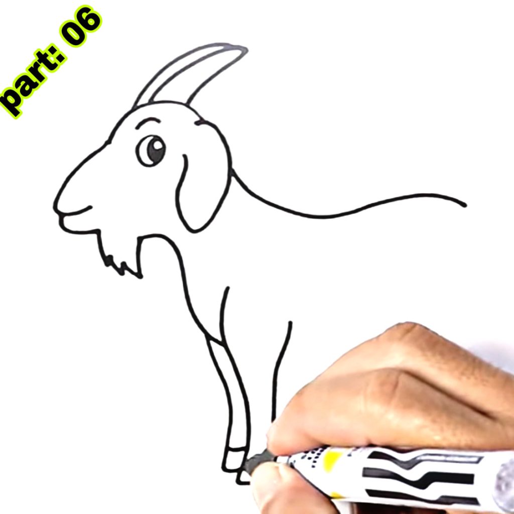 Goat Drawing