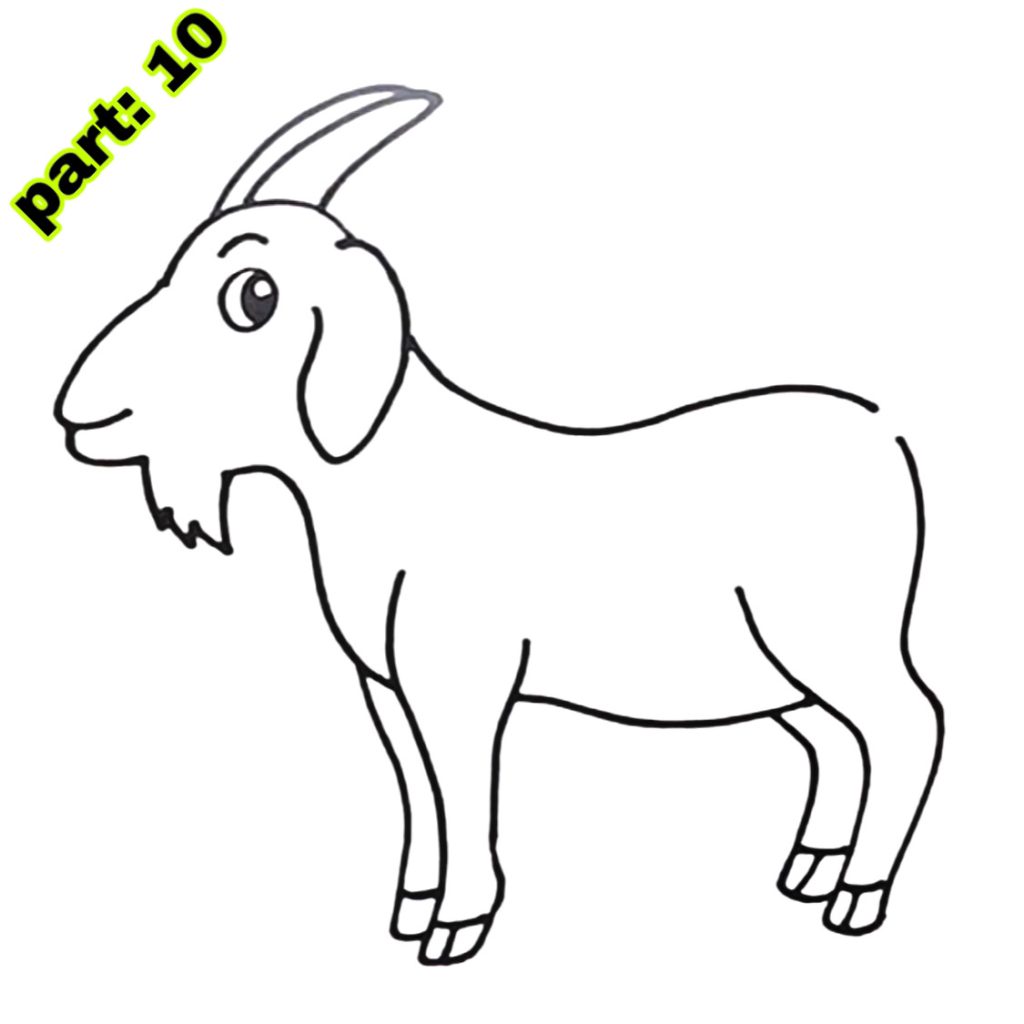 Goat Drawing