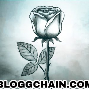 Read more about the article Simple Rose Drawing: 10 New Tips, Techniques, and Tricks For (Beginner to Advanced)