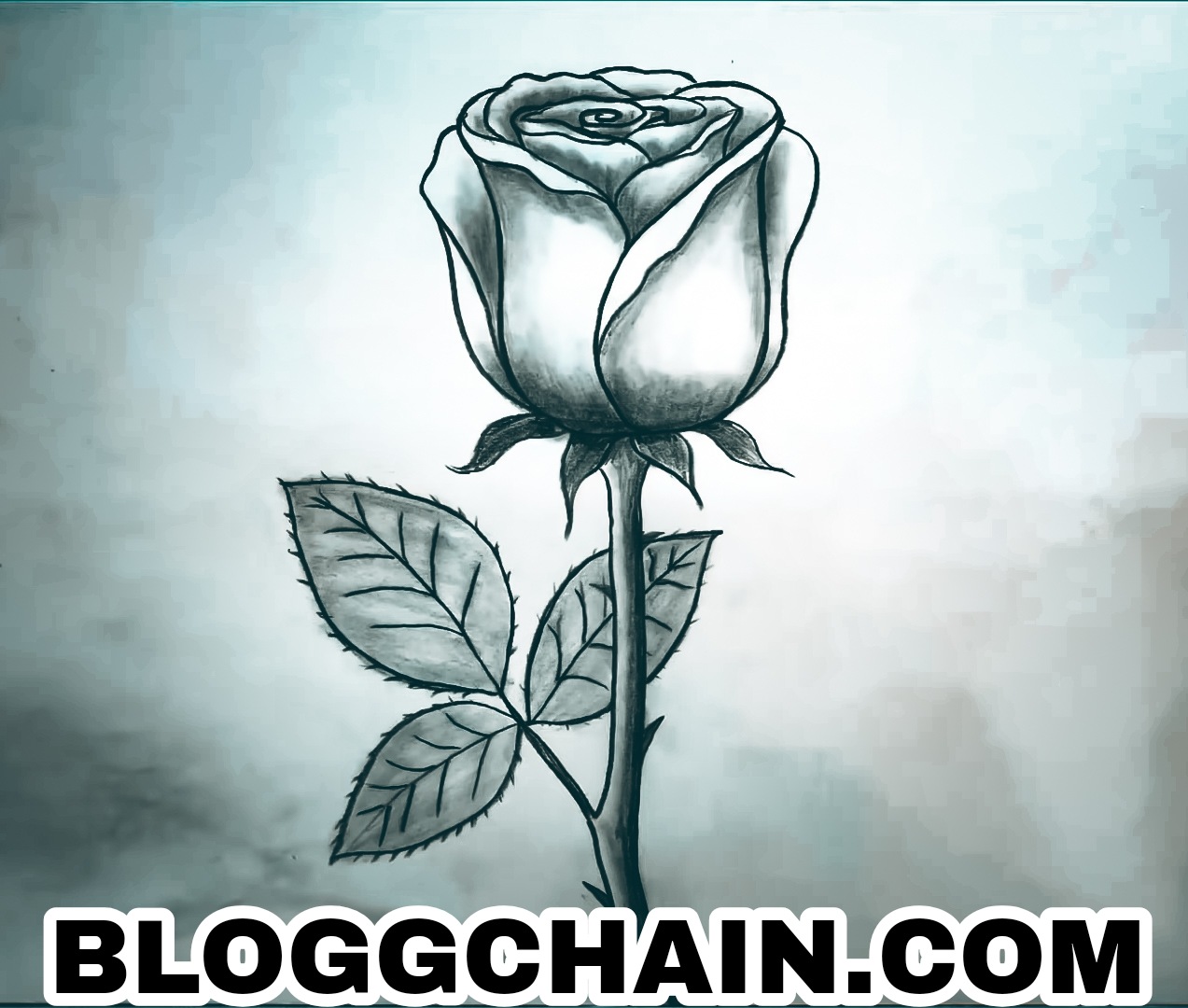 Read more about the article Simple Rose Drawing: 10 New Tips, Techniques, and Tricks For (Beginner to Advanced)