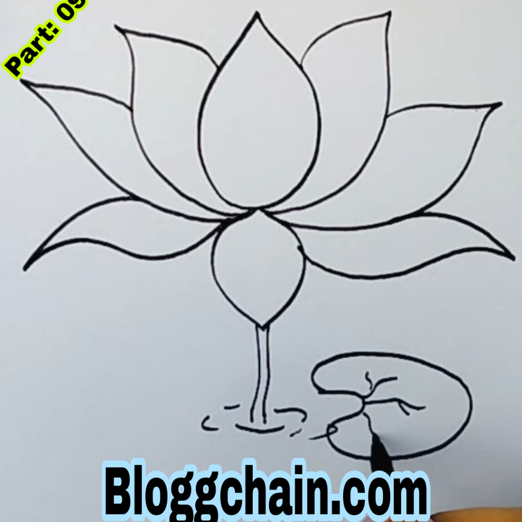 Lotus Flower Drawing