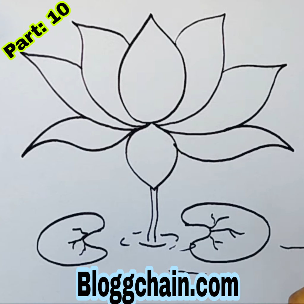 Lotus Flower Drawing