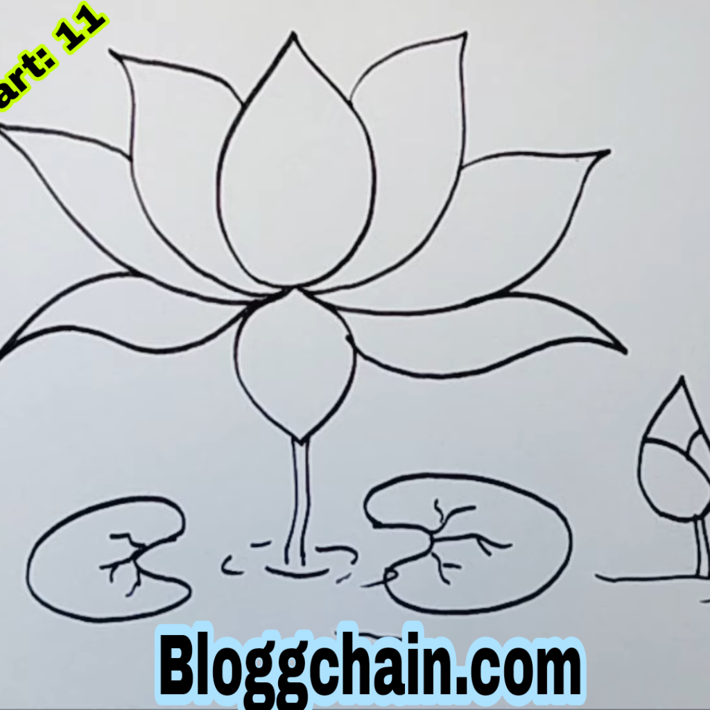 Lotus Flower Drawing