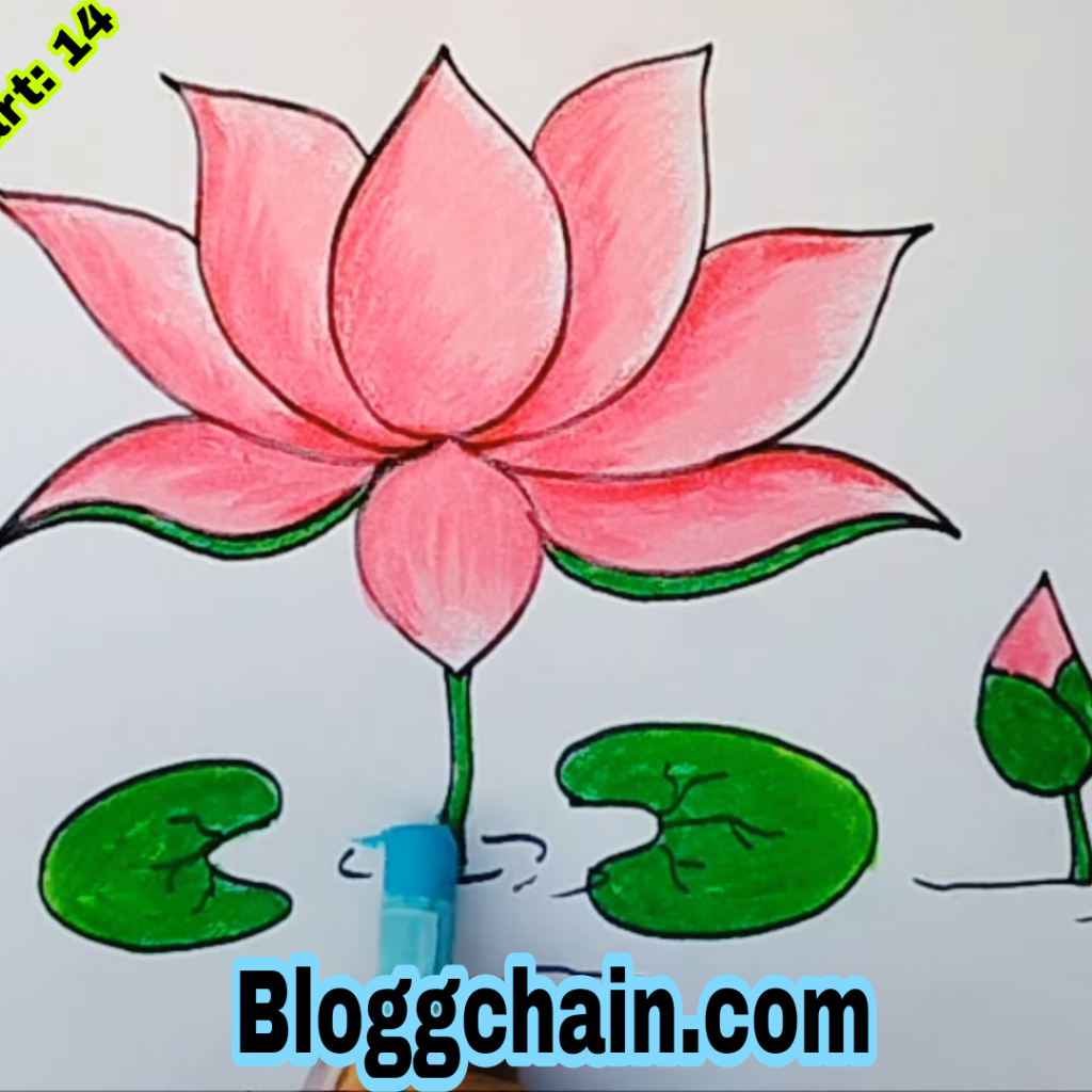 Lotus Flower Drawing