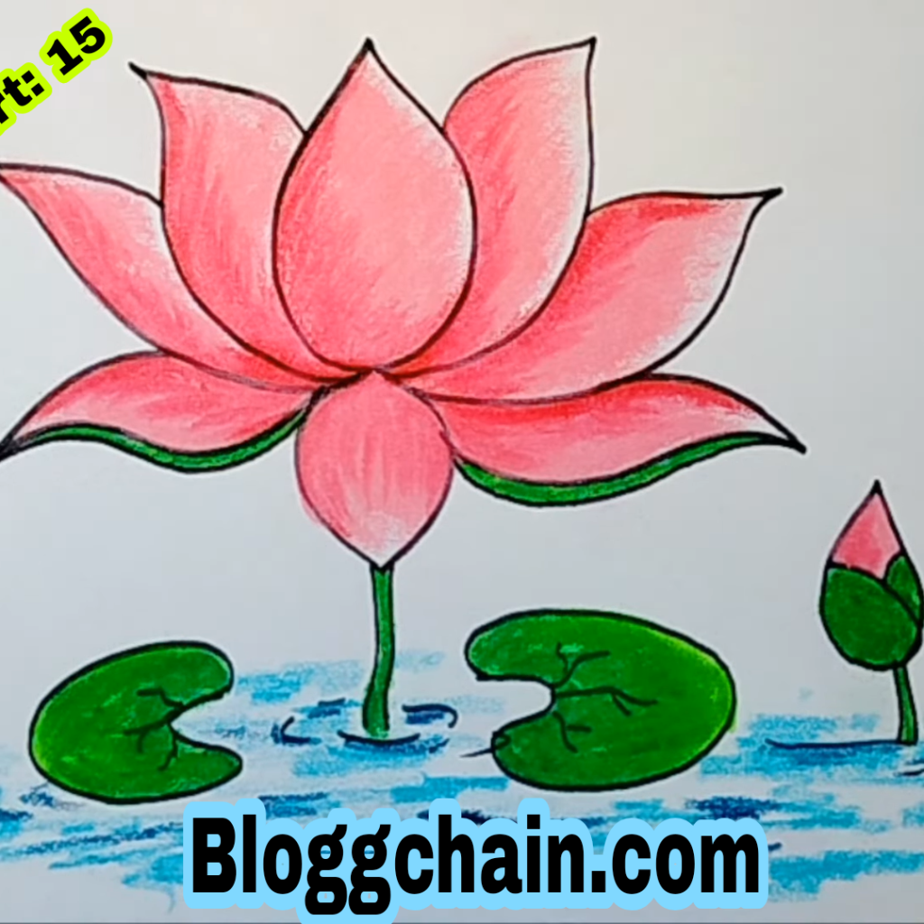 Lotus Flower Drawing