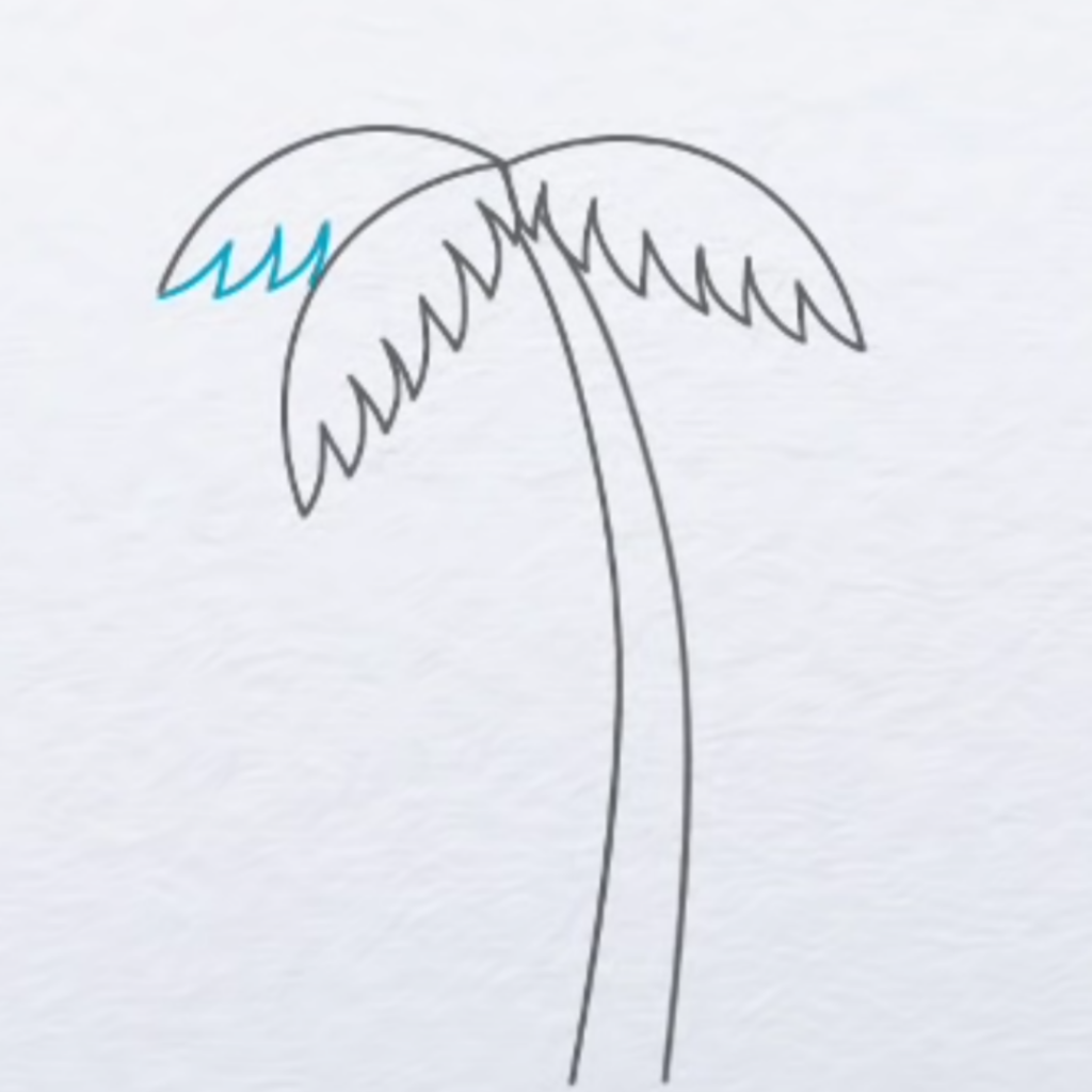 Palm Tree Drawing