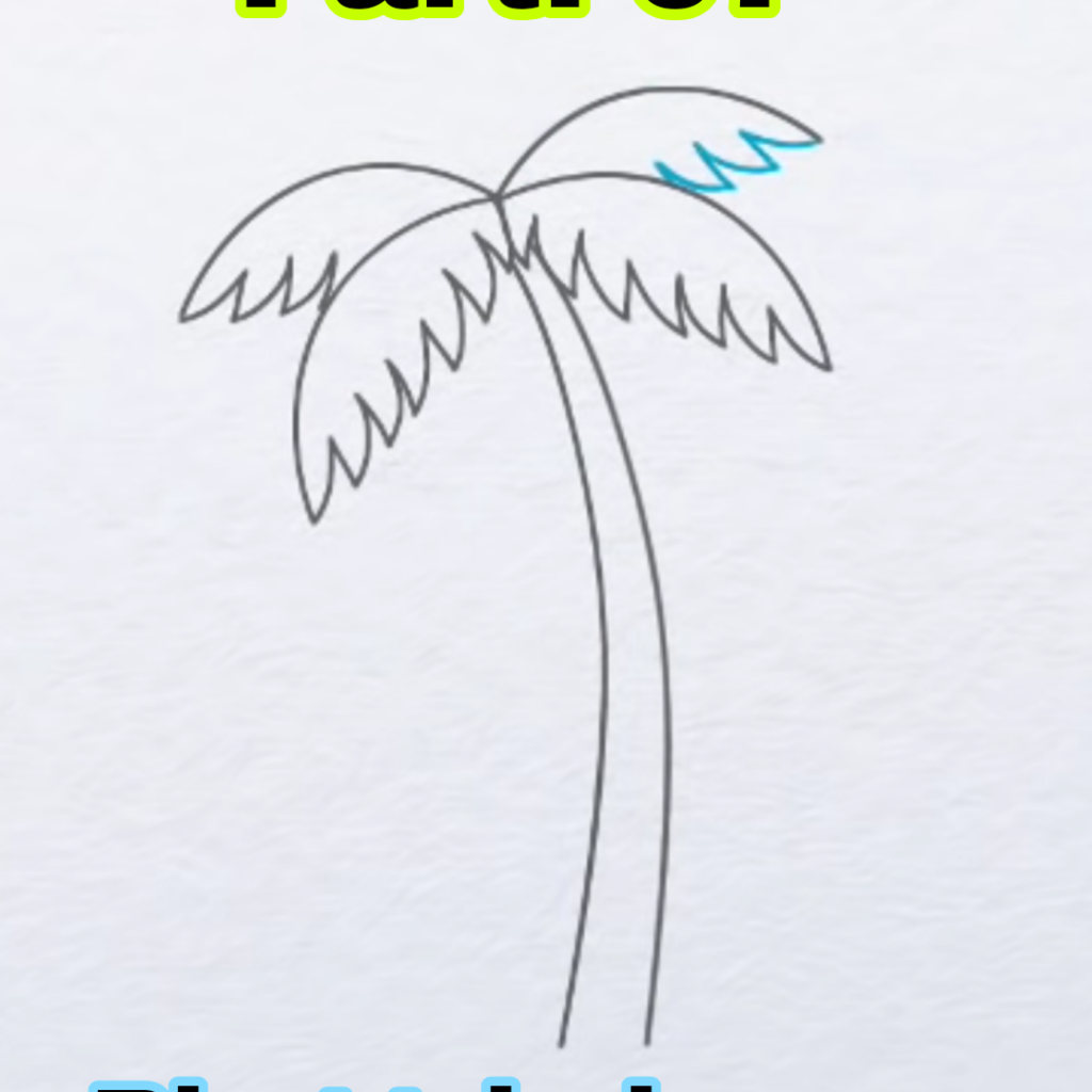 Palm Tree Drawing