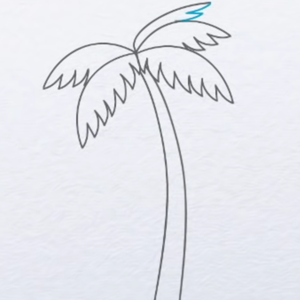 Palm Tree Drawing