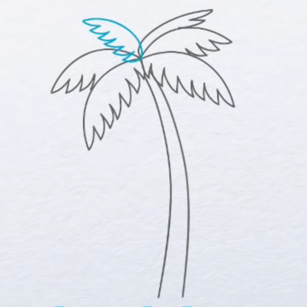 Palm Tree Drawing