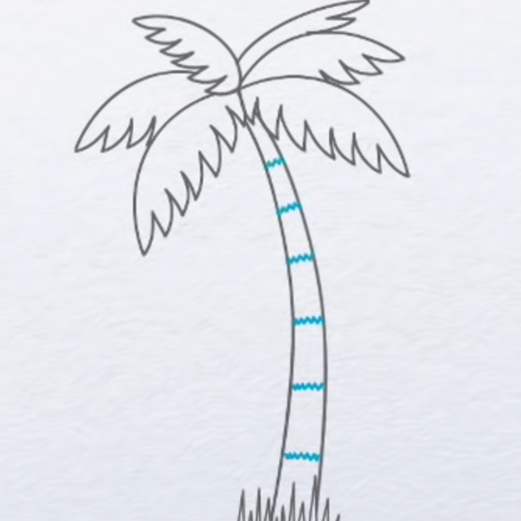 Palm Tree Drawing