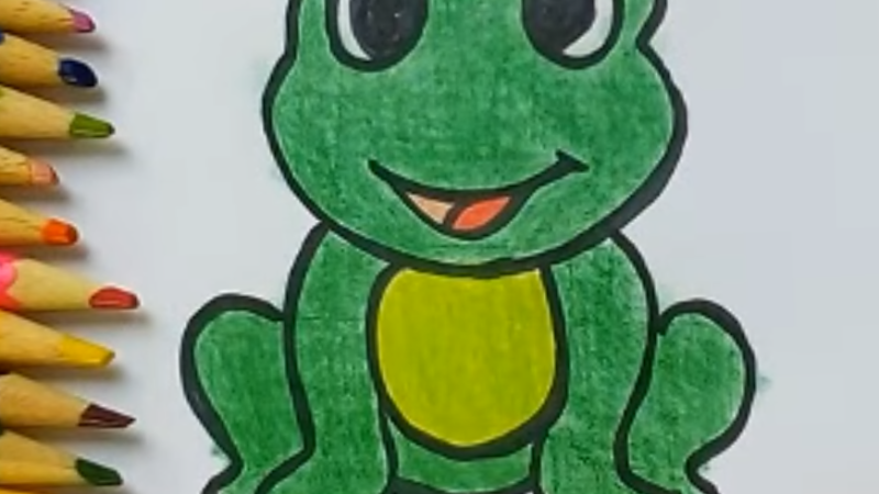 Frog Drawing