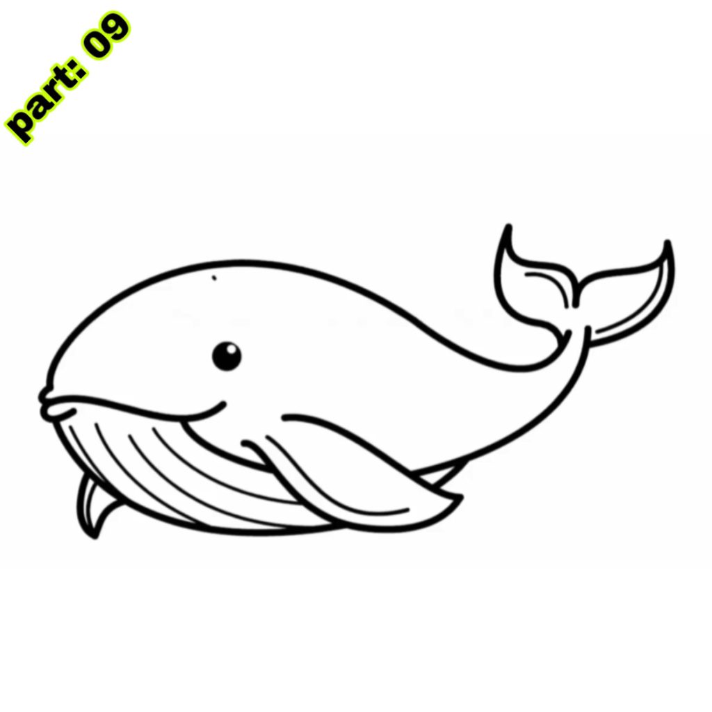 Whale Drawing