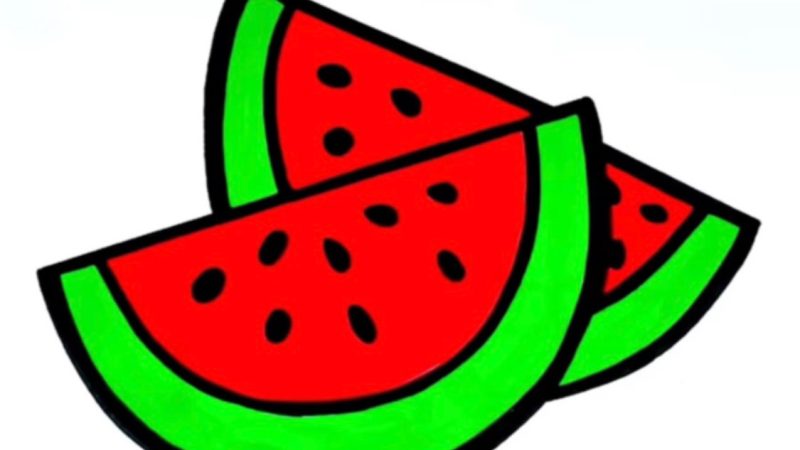 Watermelon Drawing