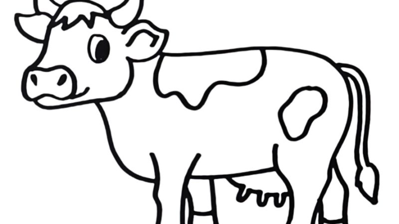 Cow drawing