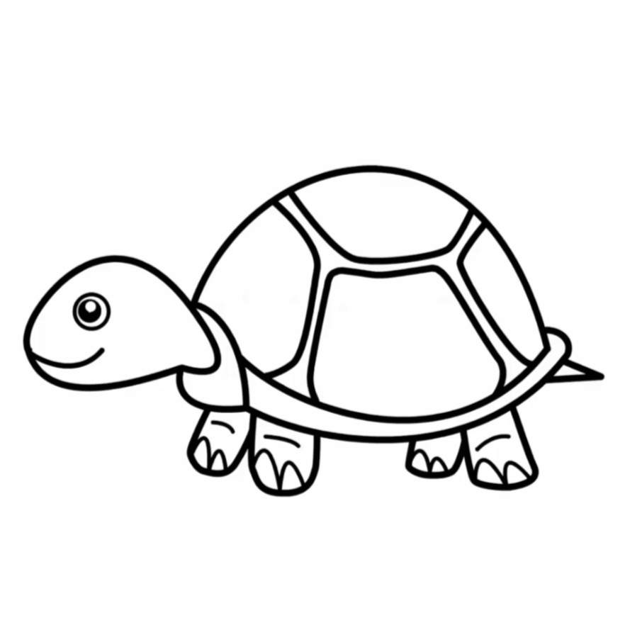 Read more about the article Stunning Turtle Drawing in Just 5 minutes