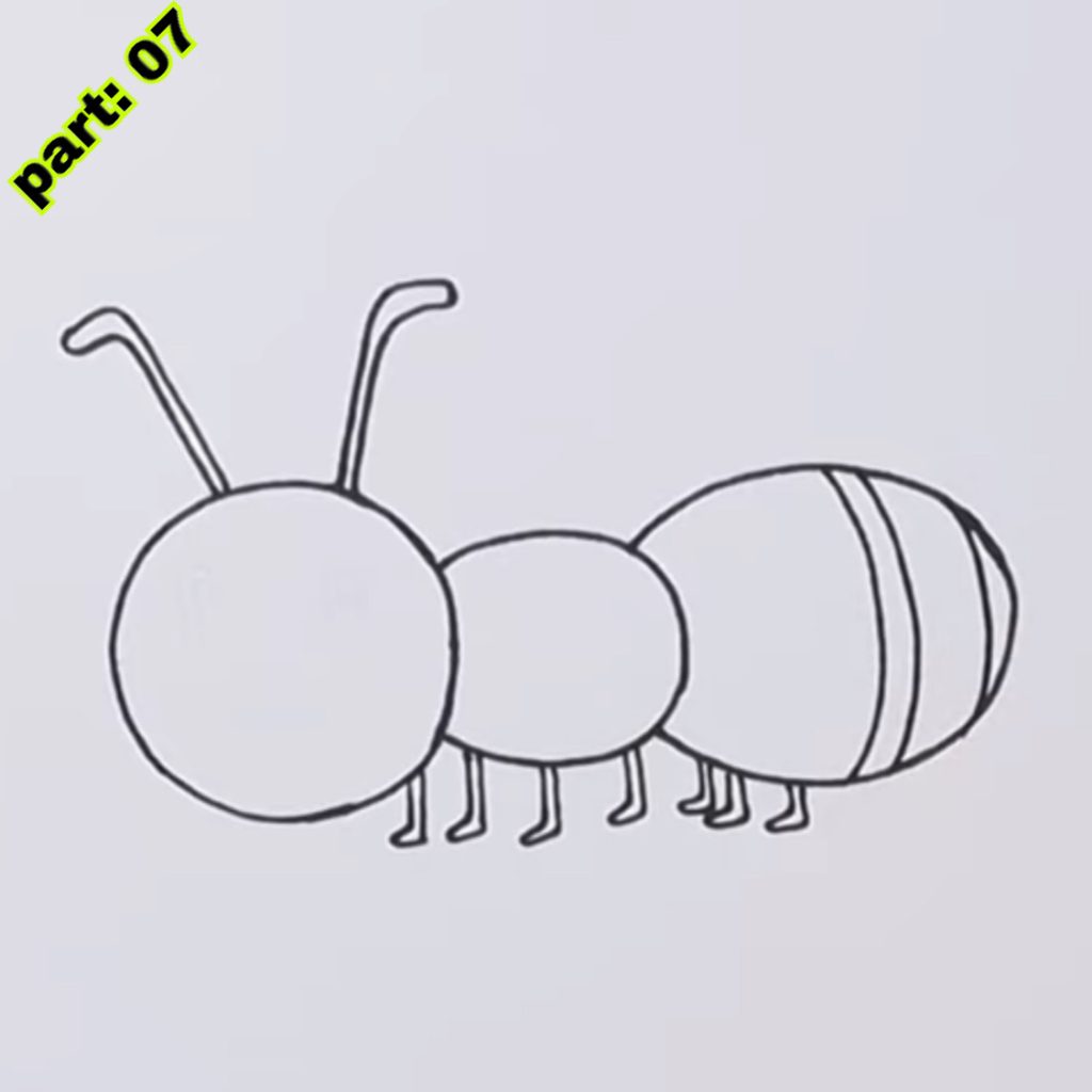 Ant Drawing