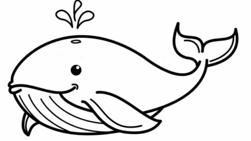 Whale Drawing