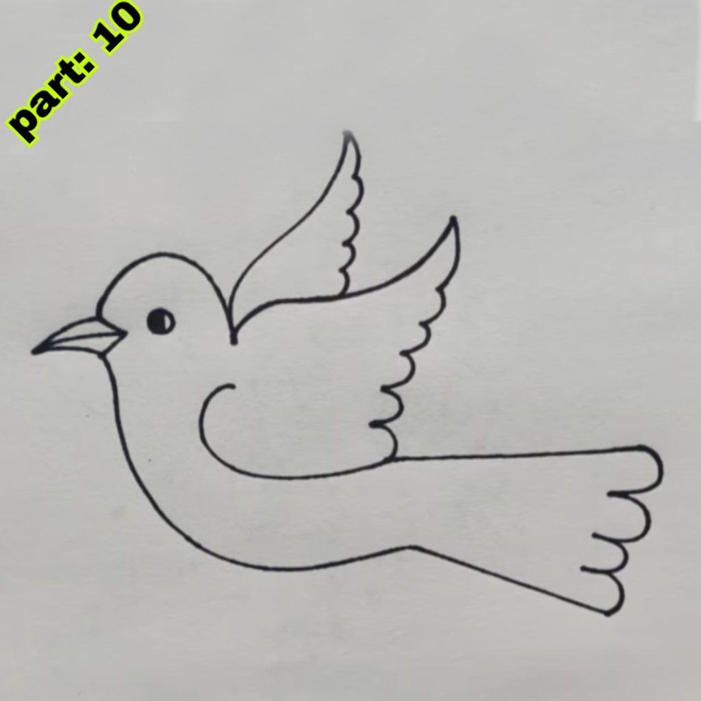 Flying Bird Drawing