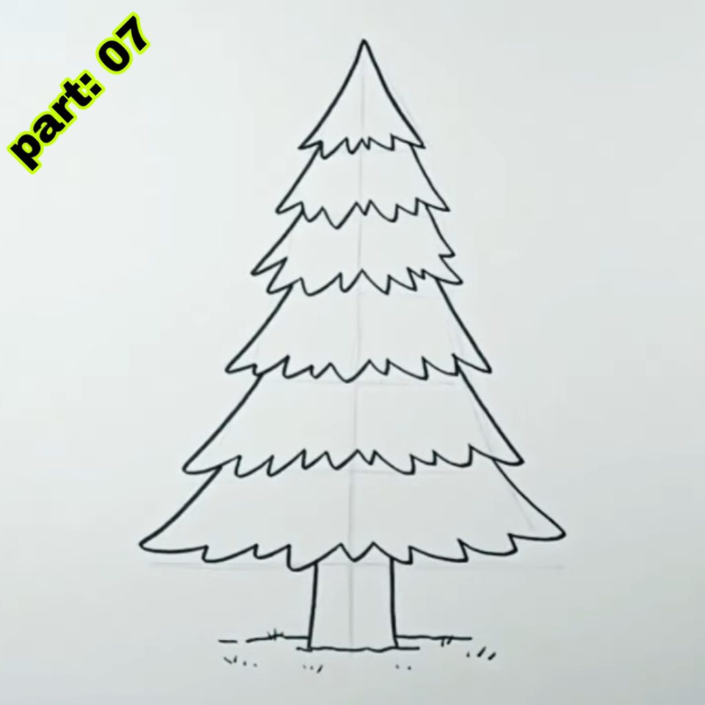 Pine Tree Drawing