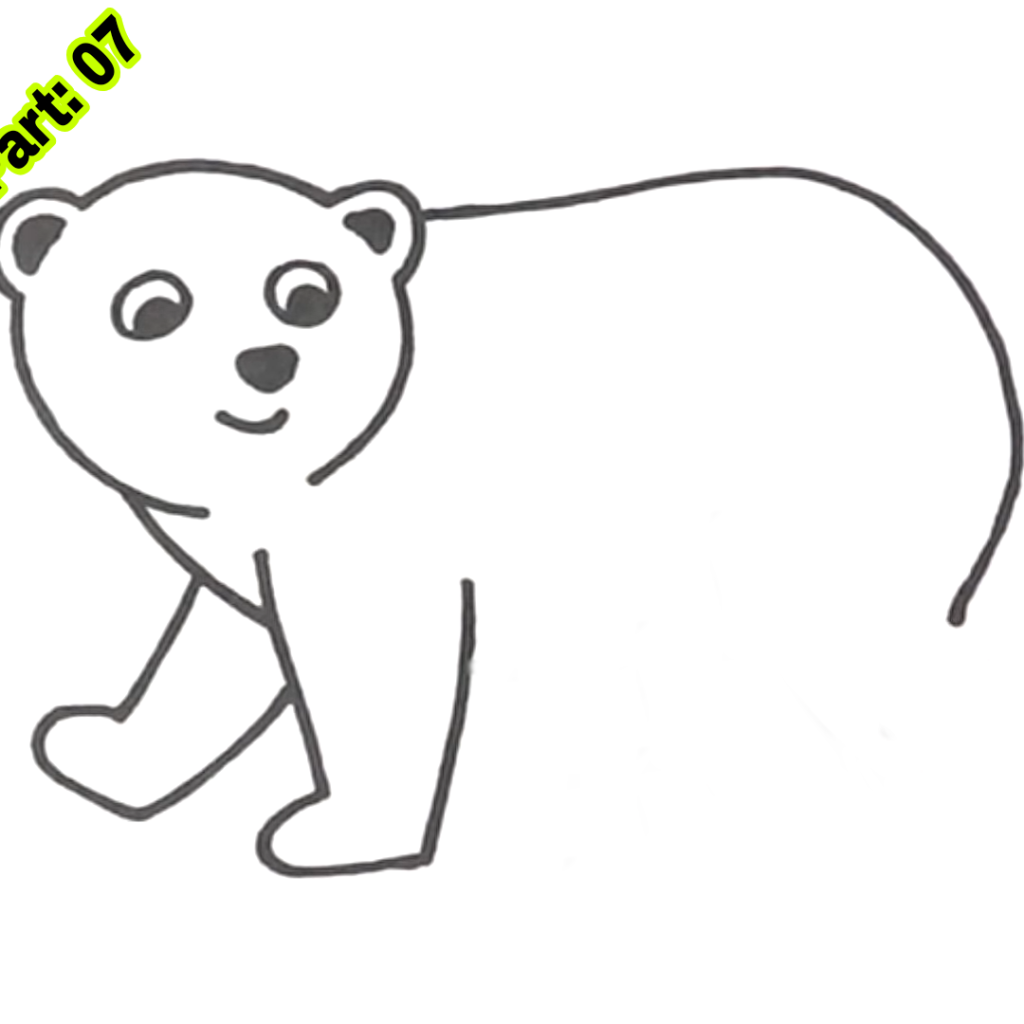 Polar Bear Drawing