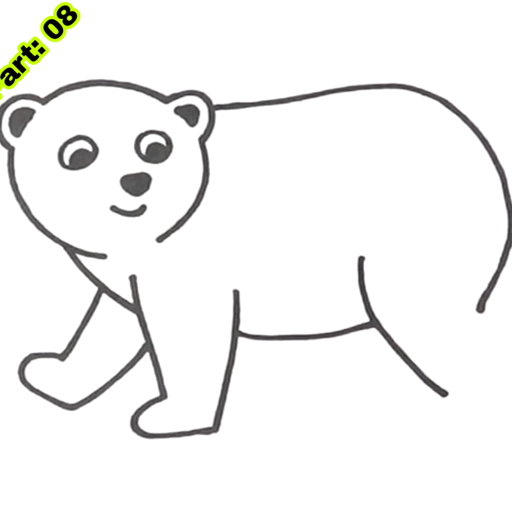 Polar Bear Drawing