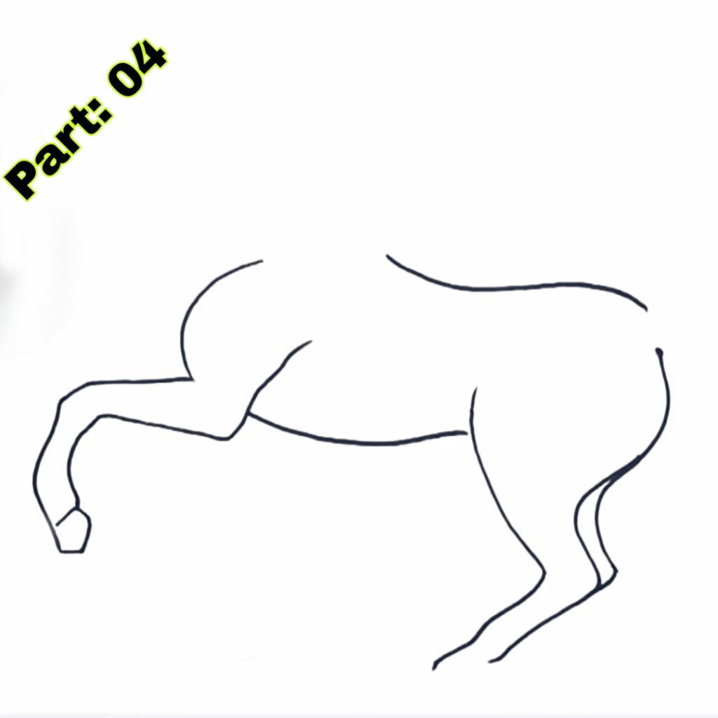 Horse Drawing