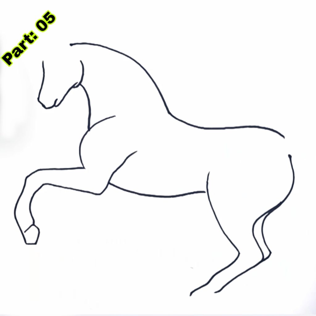 Horse Drawing