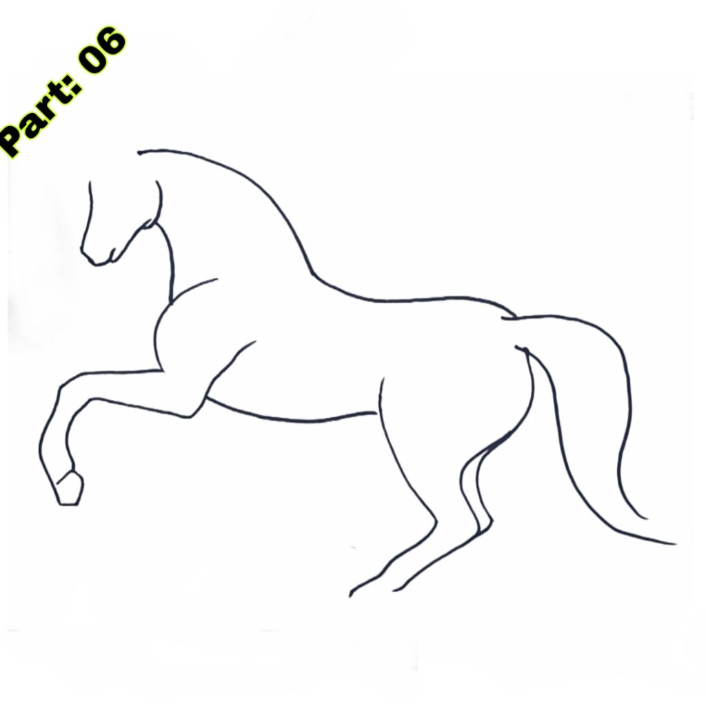 Horse Drawing