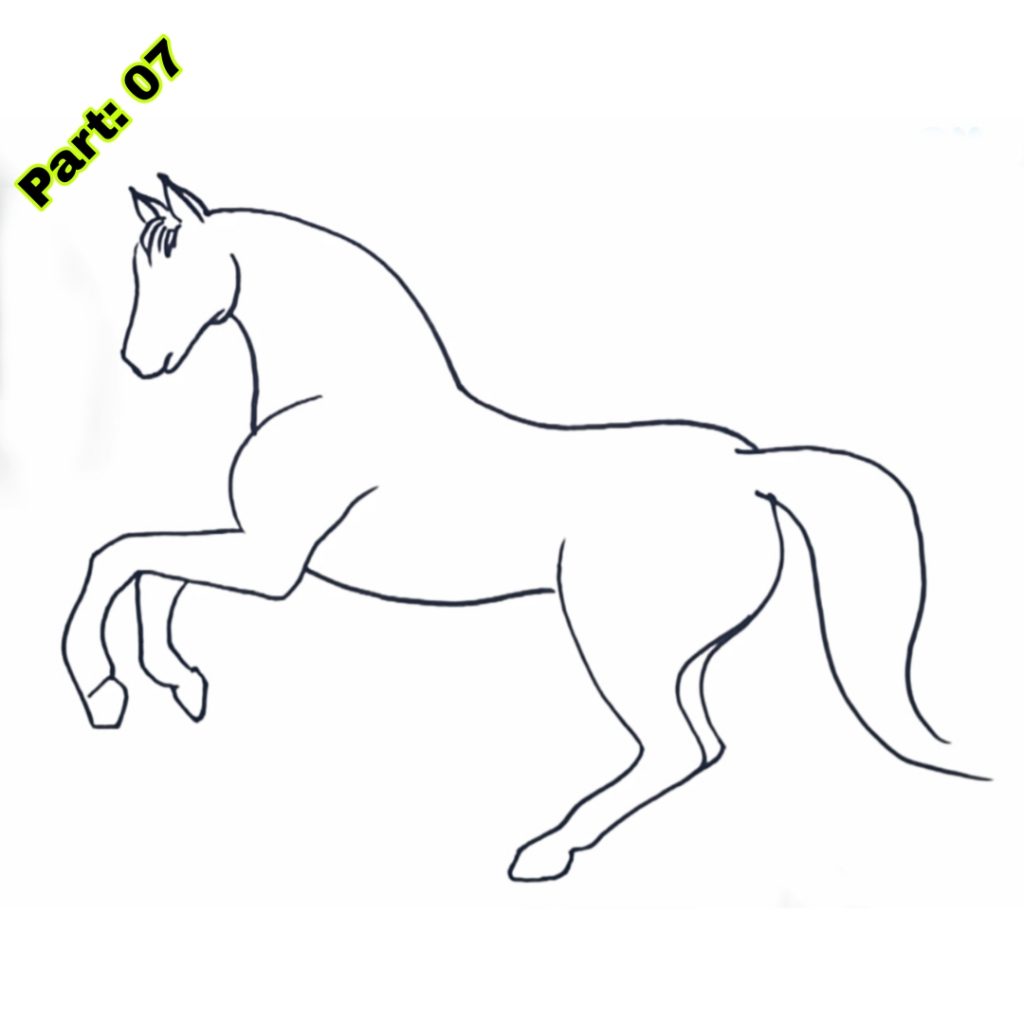 Horse Drawing