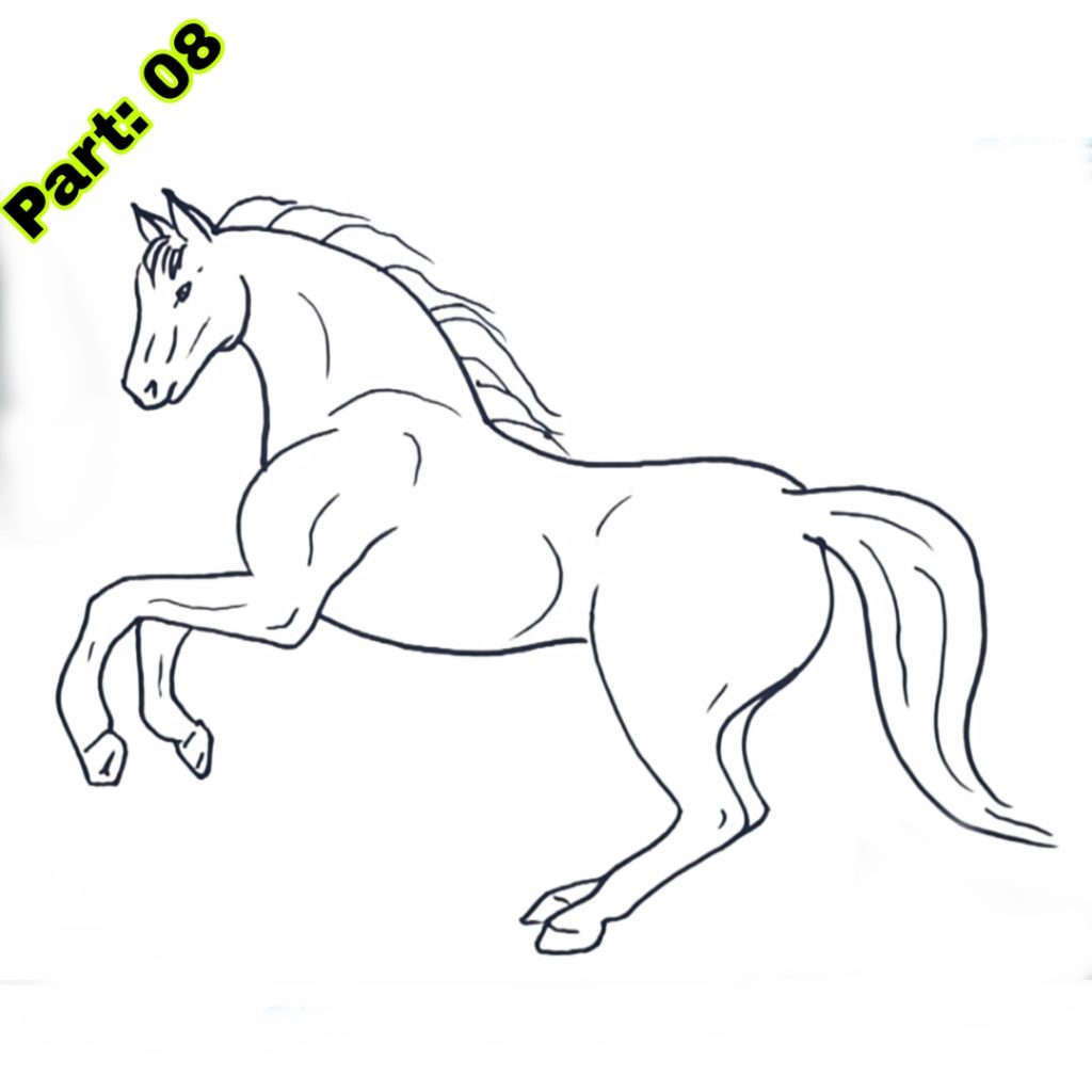 Horse Drawing