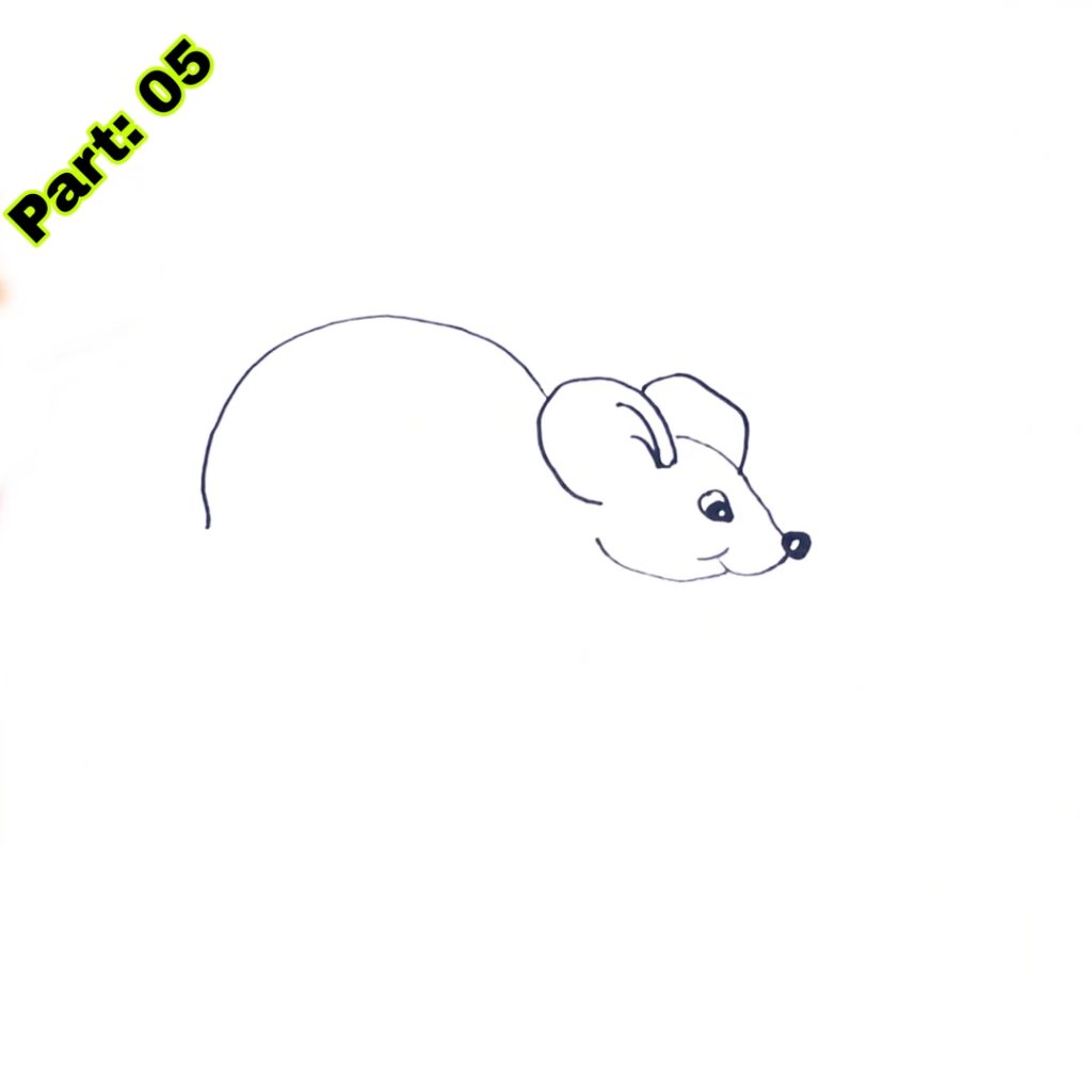 Mouse Drawing