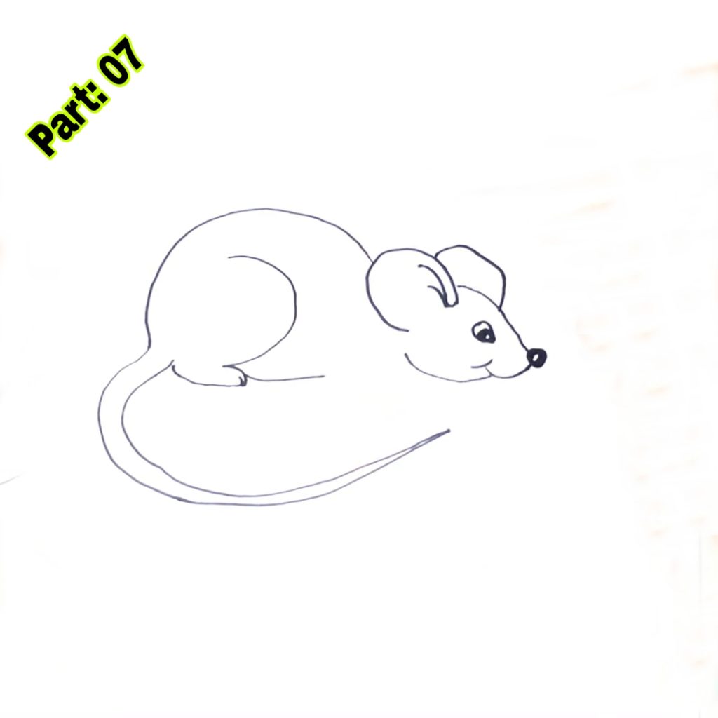 Mouse Drawing