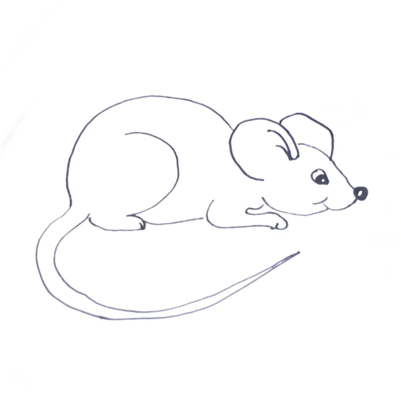 You are currently viewing Easy Mouse Drawing for Kids in Just 5 Minutes