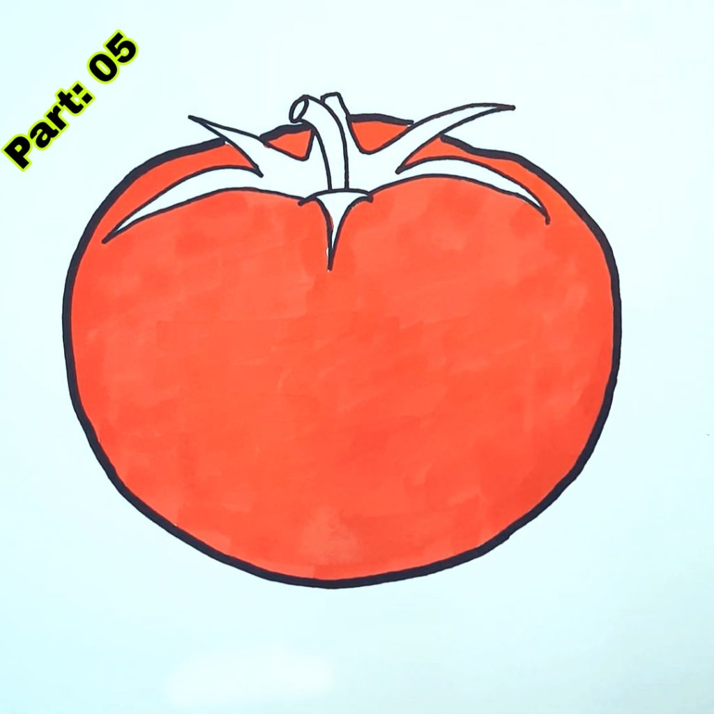 Tomato Drawing