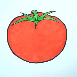 Read more about the article Stunning Tomato Drawing: A Step-by-Step Guide in 2023