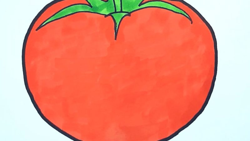 Tomato Drawing