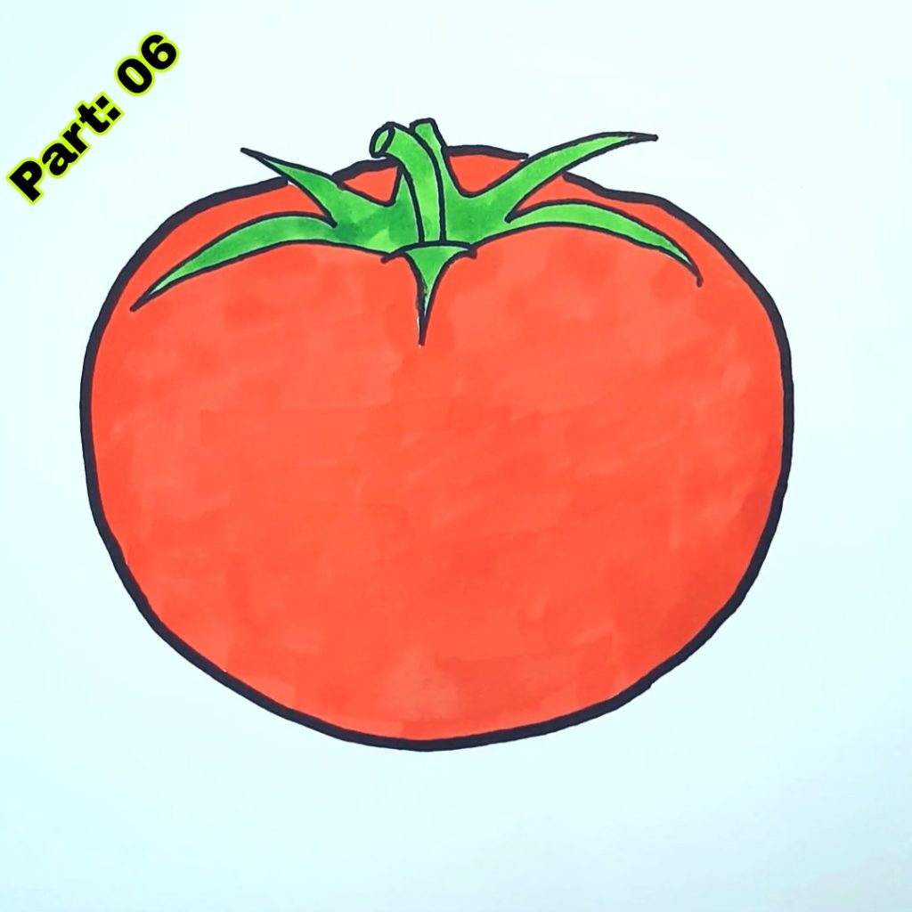 Tomato Drawing