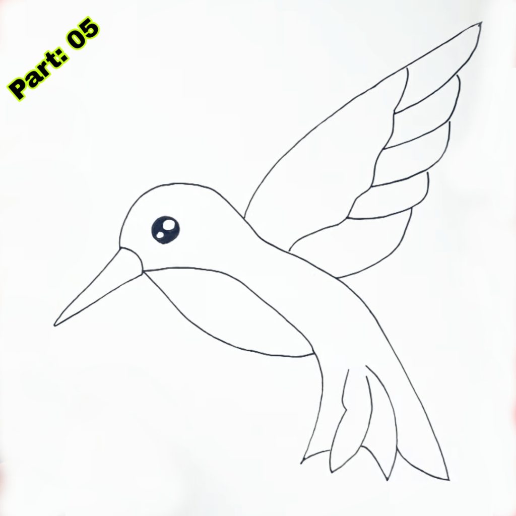 Hummingbird drawing