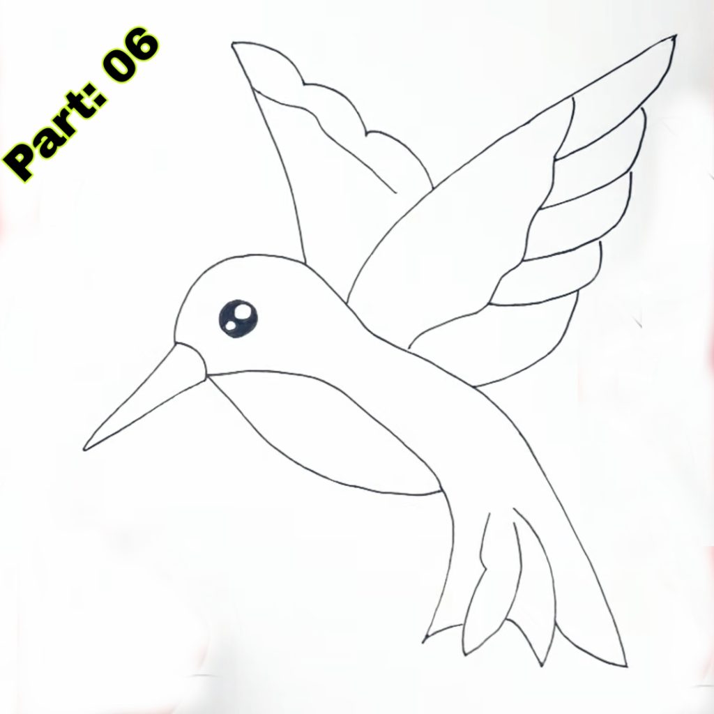 Hummingbird drawing