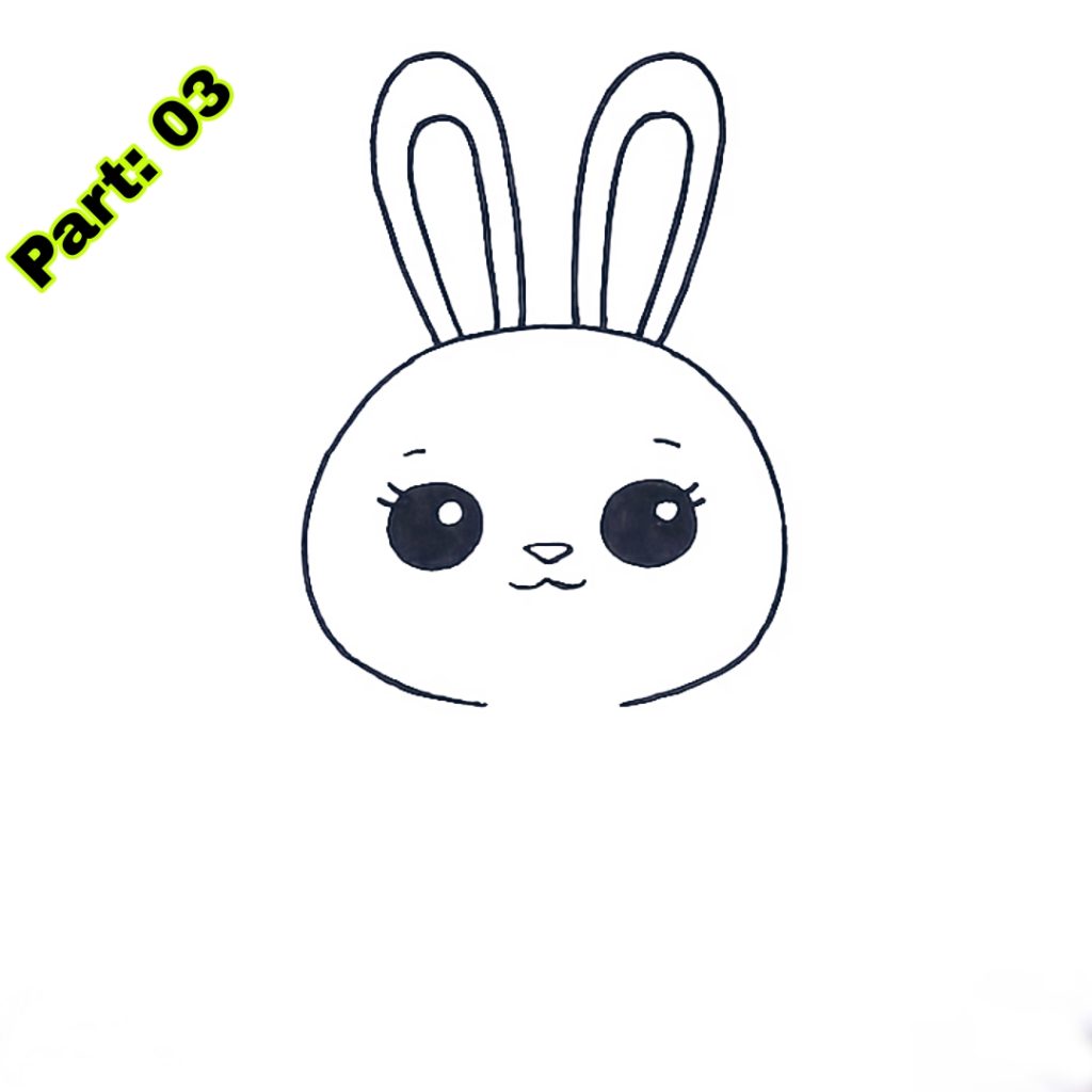 Bunny Drawing