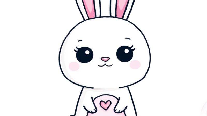 Bunny Drawing