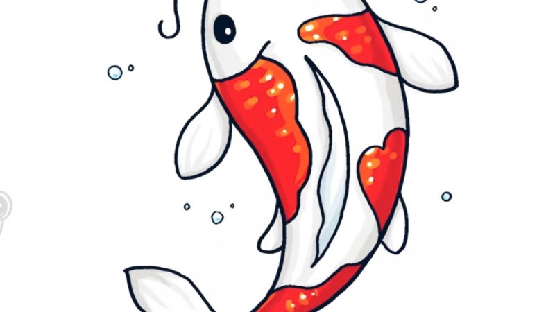 Koi Fish Drawing