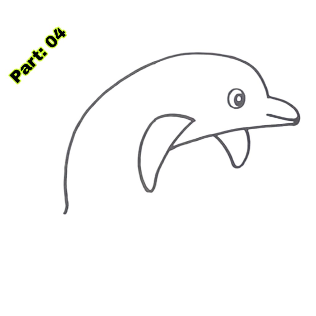 Dolphin Drawing