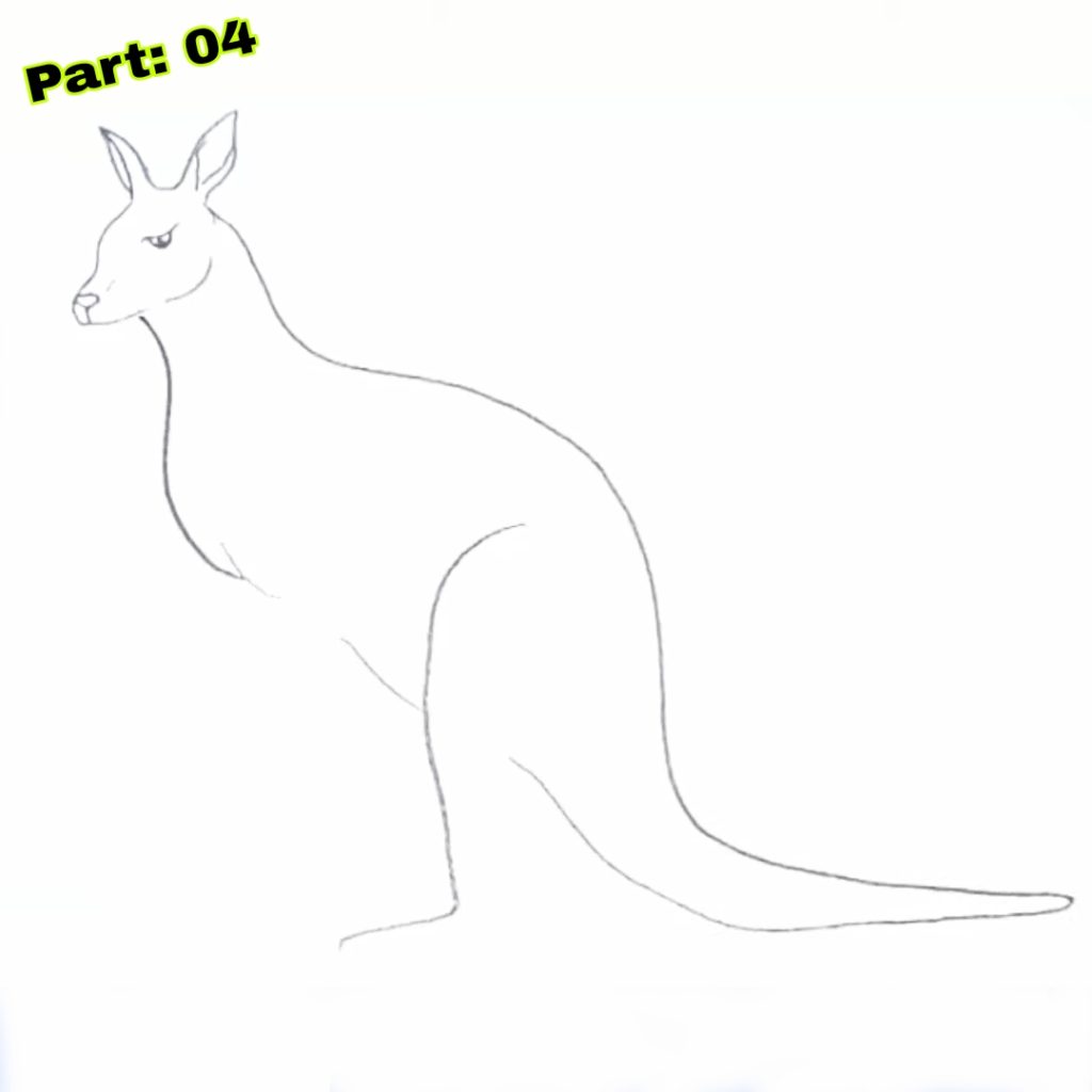 Kangaroo Drawing