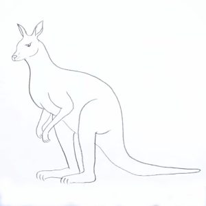 Read more about the article Beautiful Kangaroo Drawing in 2023